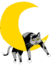 kote